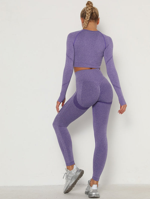 2pcs Yoga Set Women Long Sleeve Shirts Active Tracksuit Sport Suits Workout Clothes Gym Fitness Crop Top + Push Up Leggings | Vimost Shop.