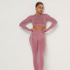 2pcs Yoga Set Women Long Sleeve Shirts Active Tracksuit Sport Suits Workout Clothes Gym Fitness Crop Top + Push Up Leggings | Vimost Shop.