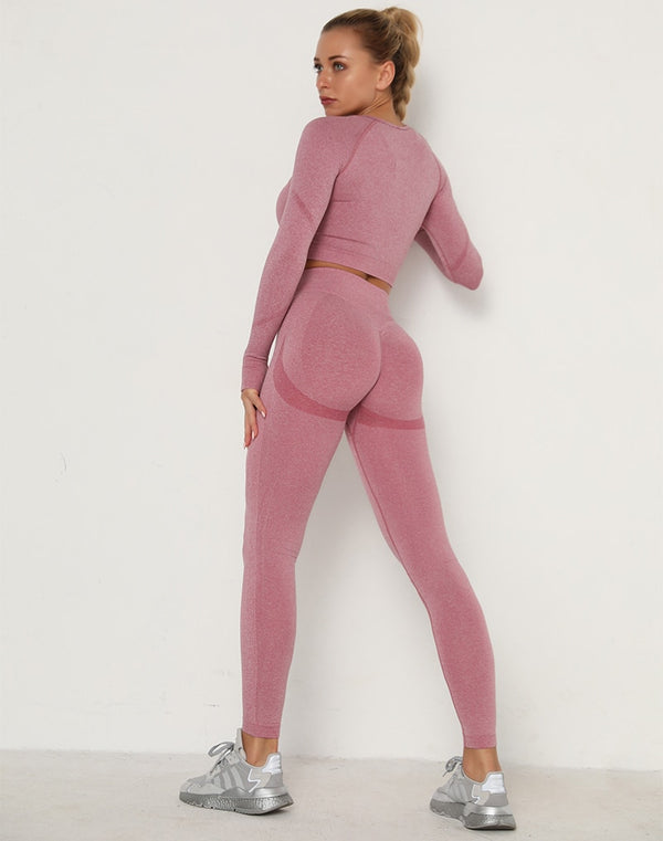 2pcs Yoga Set Women Long Sleeve Shirts Active Tracksuit Sport Suits Workout Clothes Gym Fitness Crop Top + Push Up Leggings | Vimost Shop.