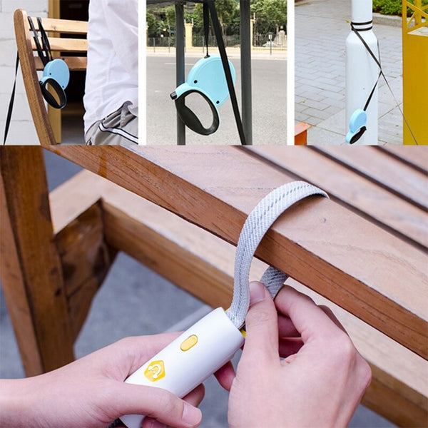 Pet Dogs Leash Running Elasticity Hand Freely Pets Training Products Dog Harness Collar Jogging Lead Adjustable Waist Rope | Vimost Shop.