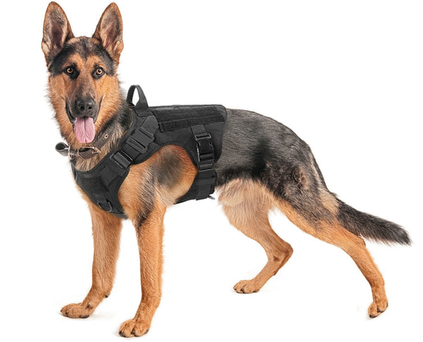 Military Tactical Dog Harness Pet Training Dog Vest Metal Buckle German Shepherd K9 Dog Harness and Leash For Small Large Dogs | Vimost Shop.