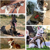 Military Tactical Dog Harness Pet Training Dog Vest Metal Buckle German Shepherd K9 Dog Harness and Leash For Small Large Dogs | Vimost Shop.