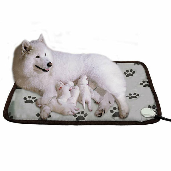 Electric Pet Heat Pad Heating Mat Pet Dog Bed Puppy Warmer Waterproof Winter Warm Mat  Blanket Cushion Pet Sofa US/EU Plug | Vimost Shop.