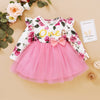 Ruffle Lace Floral Baby Girls Tutu Dress Fall Cotton Long Sleeve Cute Girls Kids mini Dresses Casual O neck Toddler Clothing D30 | Vimost Shop.