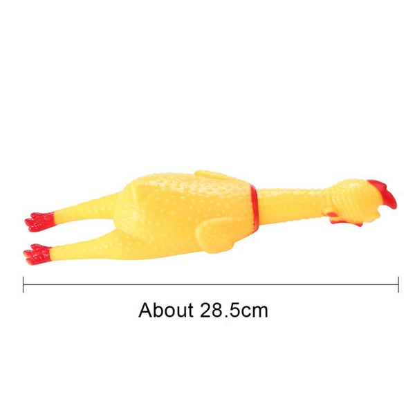 Pet Toys Collection Dog Voice Toys Bite Resistant Molar Dog Toy Ball Cat Toy Supplies for Cat Puppy Baby Dogs Value Bundle | Vimost Shop.