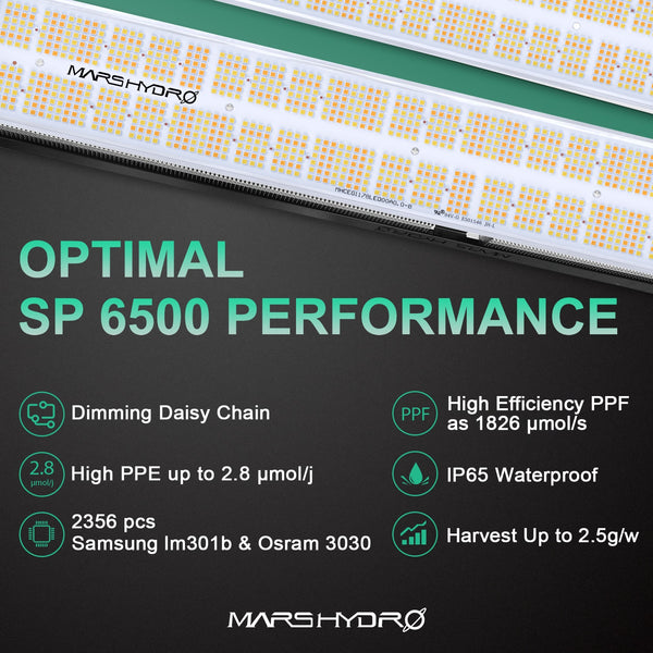 SP 6500 LED Grow Light Samsung LM301B OsramLED Chips Indoor Plants for Veg Flower Commercial Growing | Vimost Shop.