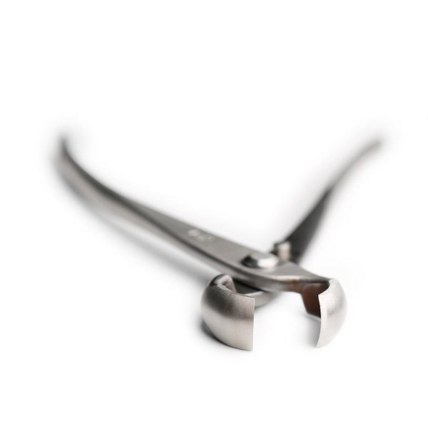 professional grade 210 mm knob cutter concave edge cutter 4Cr13MoV Alloy Steel bonsai tools made by TianBonsai | Vimost Shop.