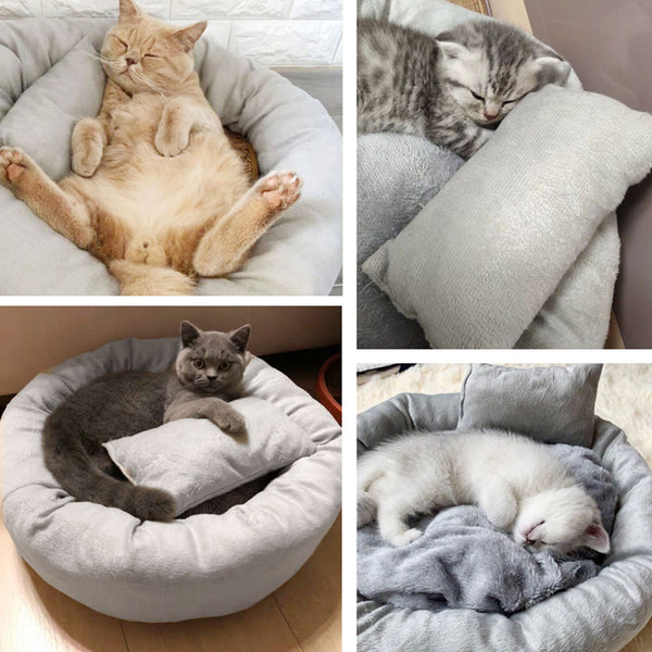 Removable Cat Bed Soft Velvet Gray Pet Beds for Dog Puppy Cat Sleeping Cushion House Cats Mat with Free Pillow Pet Supplies | Vimost Shop.