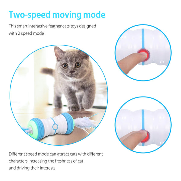 Interactive Cat Feather Toys Indoor Automatic Irregular Moving LED Lights USB Rechargeable Kitten Cats Pet Supply | Vimost Shop.