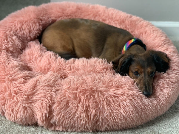 Soft Pet Dog Bed Round Winter warm Long Plush Dog House Cushion Cat Beds Mats Sofa for Samll large Dogs kennel Pet supplies | Vimost Shop.