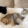 Soft Pet Dog Bed Round Winter warm Long Plush Dog House Cushion Cat Beds Mats Sofa for Samll large Dogs kennel Pet supplies | Vimost Shop.