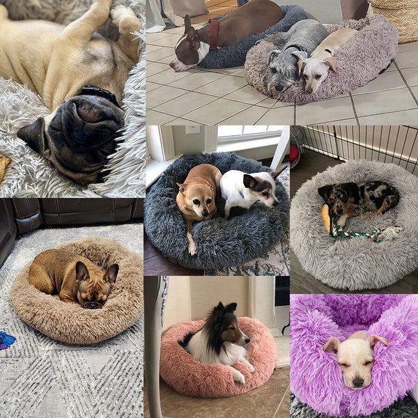 Soft Pet Dog Bed Round Winter warm Long Plush Dog House Cushion Cat Beds Mats Sofa for Samll large Dogs kennel Pet supplies | Vimost Shop.