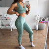 Seamless Yoga Set Fitness Sports Suits Gym Clothing Sport Bra High Waist Yoga Leggings Workout Pants Outfit Sportswear Tracksuit | Vimost Shop.