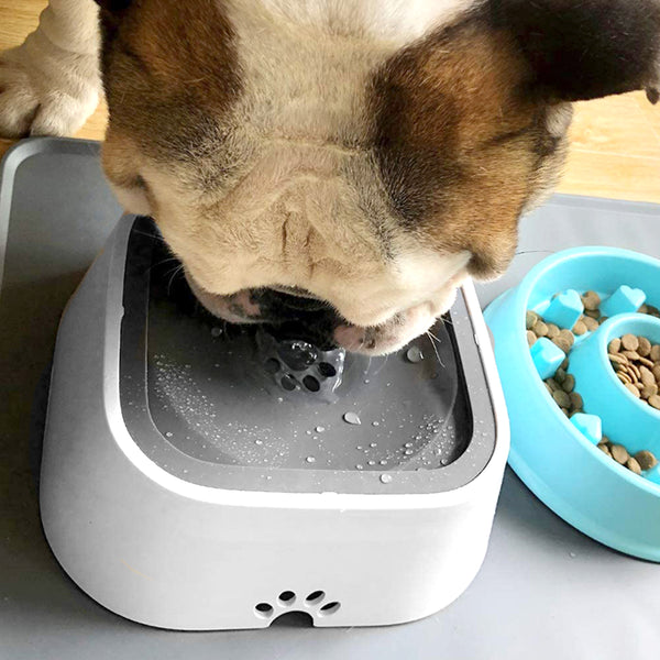 1.5L Pet Drinking Water Bowl Floating Non-Wetting Mouth Dog Cat Bowl Without Spill Drink Water Dispenser ABS Plastic Dogs Feeder | Vimost Shop.