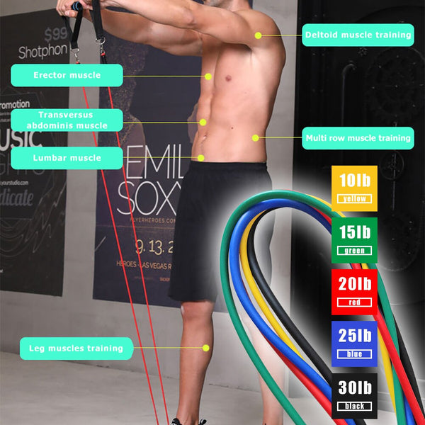 Elastic Resistance Band with Bag Door Buckle 11pcs Exercise Pull Rope Ankle Ring Multi-function Equipment for Exercise | Vimost Shop.