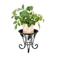 Artisasset 5.3Inch Plate Mini Paint Iron Plant Stand Metal Flower Pot Holder Potted Plant Stand Flower Rack 13x13x13CM Black