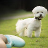 Retractable Pet Dog Automatic Roulette Leash 5M Reflective Traction Rope Walking Leash Lead Belt For Small Large Dogs | Vimost Shop.