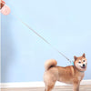 5 Meters Dog Leashes Automatic Retractable Pet Outdoor Walking Leash Leads Puppy Running Extending Leashes For Small Medium Dog | Vimost Shop.