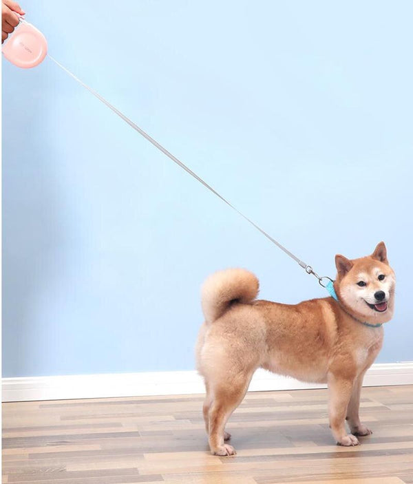 5 Meters Dog Leashes Automatic Retractable Pet Outdoor Walking Leash Leads Puppy Running Extending Leashes For Small Medium Dog | Vimost Shop.