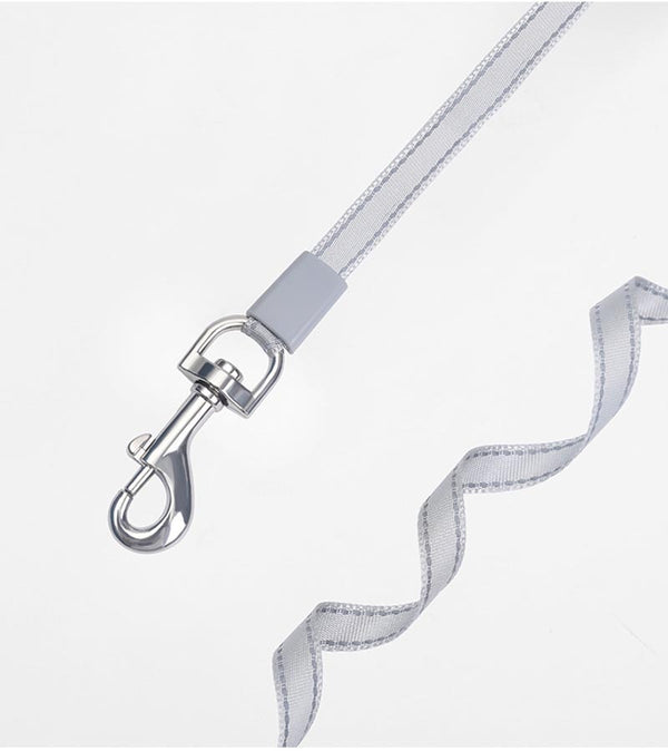 5 Meters Dog Leashes Automatic Retractable Pet Outdoor Walking Leash Leads Puppy Running Extending Leashes For Small Medium Dog | Vimost Shop.