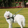 Nylon Pet Dog Leash Collar Durable Traction Rope Outdoor Pet Walking Lead Leashes for Large Dogs Cats Pets Training Supplies | Vimost Shop.