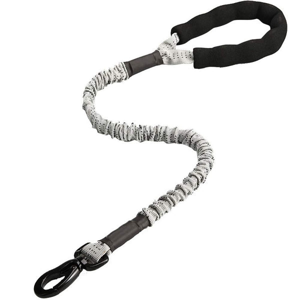 Nylon Pet Dog Leash Collar Durable Traction Rope Outdoor Pet Walking Lead Leashes for Large Dogs Cats Pets Training Supplies | Vimost Shop.