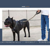 Nylon Pet Dog Leash Collar Durable Traction Rope Outdoor Pet Walking Lead Leashes for Large Dogs Cats Pets Training Supplies | Vimost Shop.