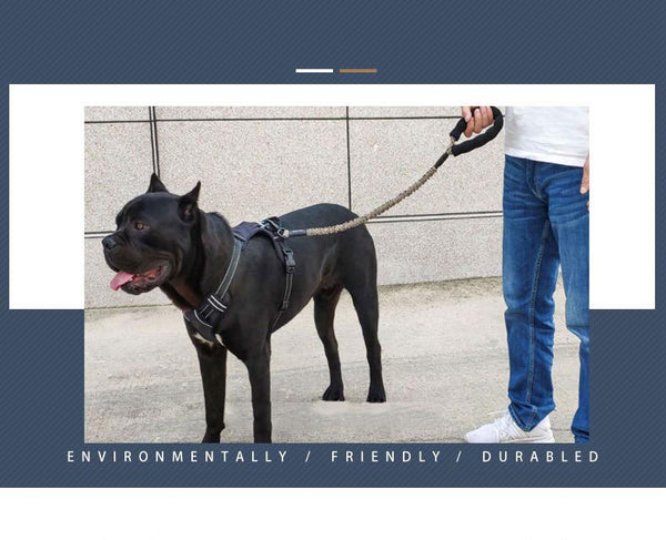 Nylon Pet Dog Leash Collar Durable Traction Rope Outdoor Pet Walking Lead Leashes for Large Dogs Cats Pets Training Supplies | Vimost Shop.