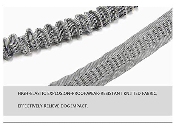Nylon Pet Dog Leash Collar Durable Traction Rope Outdoor Pet Walking Lead Leashes for Large Dogs Cats Pets Training Supplies | Vimost Shop.
