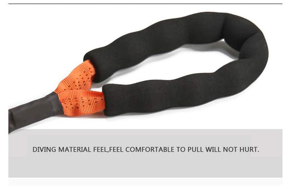Nylon Pet Dog Leash Collar Durable Traction Rope Outdoor Pet Walking Lead Leashes for Large Dogs Cats Pets Training Supplies | Vimost Shop.