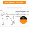 Nylon Pet Dog Leash Collar Durable Traction Rope Outdoor Pet Walking Lead Leashes for Large Dogs Cats Pets Training Supplies | Vimost Shop.
