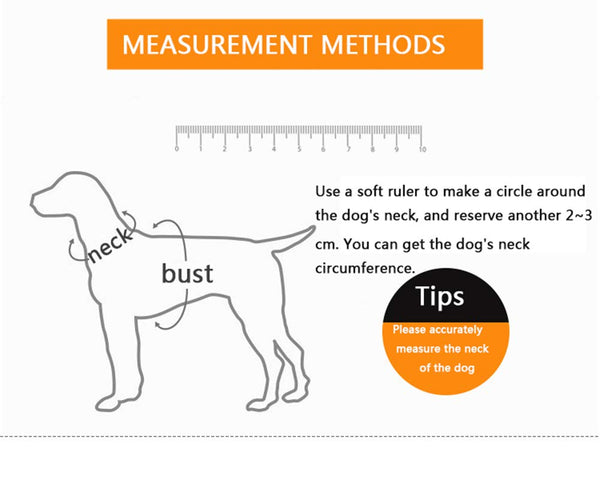 Nylon Pet Dog Leash Collar Durable Traction Rope Outdoor Pet Walking Lead Leashes for Large Dogs Cats Pets Training Supplies | Vimost Shop.