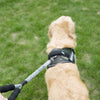 Nylon Pet Dog Leash Collar Durable Traction Rope Outdoor Pet Walking Lead Leashes for Large Dogs Cats Pets Training Supplies | Vimost Shop.