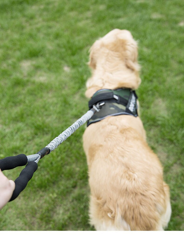 Nylon Pet Dog Leash Collar Durable Traction Rope Outdoor Pet Walking Lead Leashes for Large Dogs Cats Pets Training Supplies | Vimost Shop.