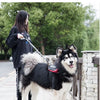 Nylon Pet Dog Leash Collar Durable Traction Rope Outdoor Pet Walking Lead Leashes for Large Dogs Cats Pets Training Supplies | Vimost Shop.