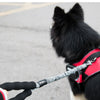Nylon Pet Dog Leash Collar Durable Traction Rope Outdoor Pet Walking Lead Leashes for Large Dogs Cats Pets Training Supplies | Vimost Shop.