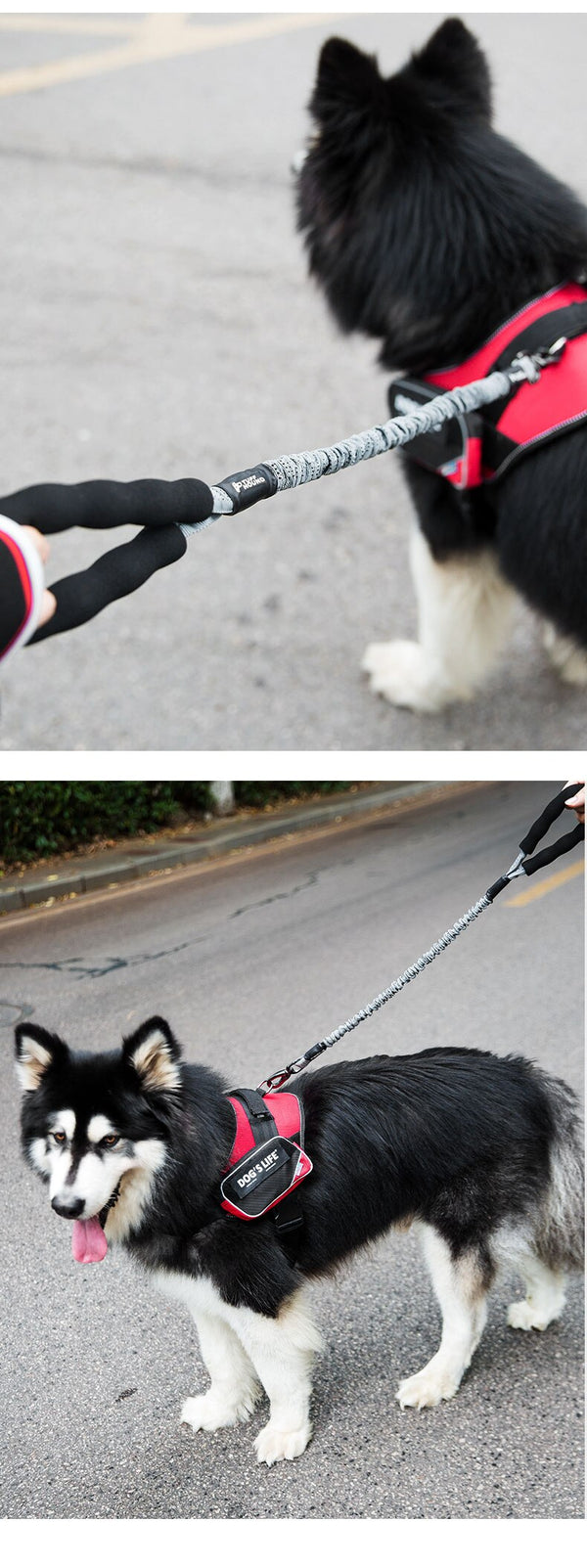 Nylon Pet Dog Leash Collar Durable Traction Rope Outdoor Pet Walking Lead Leashes for Large Dogs Cats Pets Training Supplies | Vimost Shop.