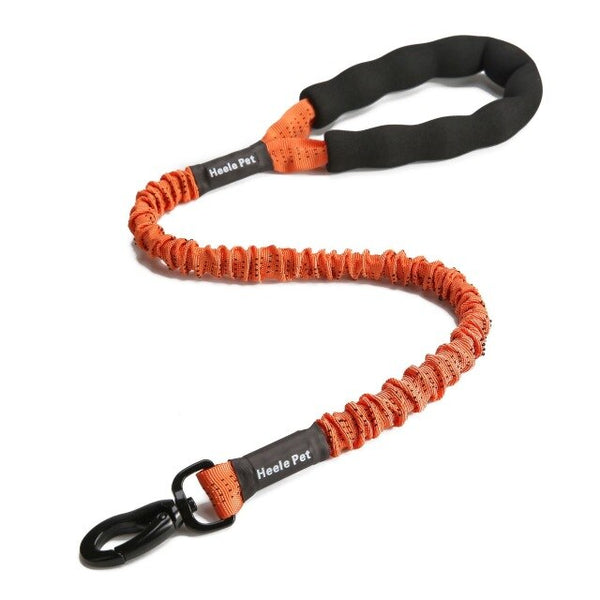 Nylon Pet Dog Leash Collar Durable Traction Rope Outdoor Pet Walking Lead Leashes for Large Dogs Cats Pets Training Supplies | Vimost Shop.