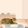 More Style Dog Bowl Anti Choke Dog Feeding Food Bowls Puppy Slow Eating Dog Bowls Feeder Dish Pet Bowl Pet Supplies | Vimost Shop.