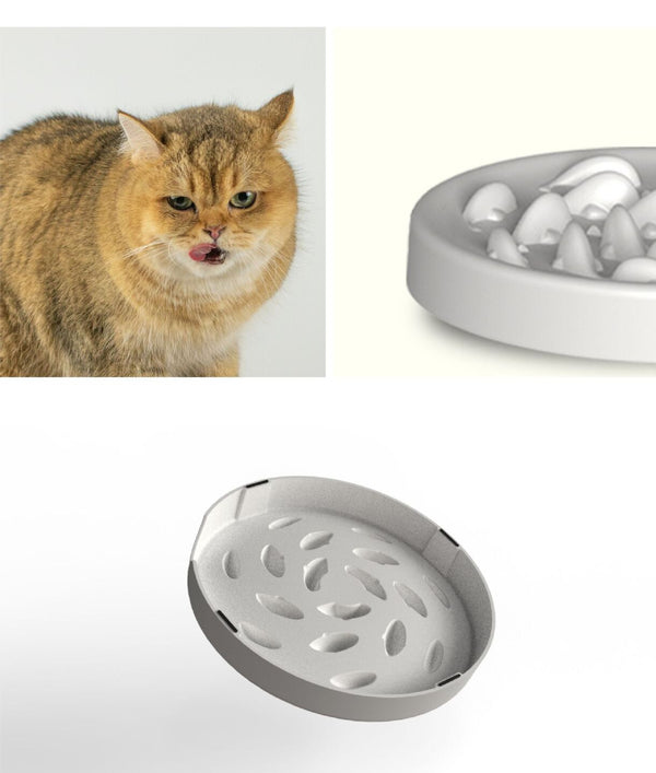 More Style Dog Bowl Anti Choke Dog Feeding Food Bowls Puppy Slow Eating Dog Bowls Feeder Dish Pet Bowl Pet Supplies | Vimost Shop.