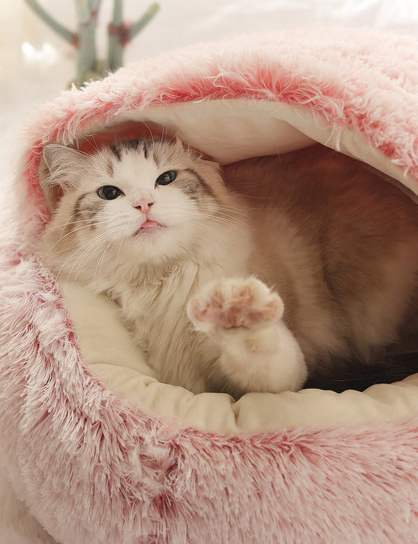 Hot Plush Round Cat Bed Cat Warm House Soft Long Plush Pet Dog Bed For Small Dogs Cat Nest 2 In 1 Pet Bed Cushion Sleeping Sofa | Vimost Shop.
