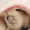 Hot Plush Round Cat Bed Cat Warm House Soft Long Plush Pet Dog Bed For Small Dogs Cat Nest 2 In 1 Pet Bed Cushion Sleeping Sofa | Vimost Shop.