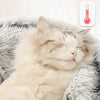 Hot Plush Round Cat Bed Cat Warm House Soft Long Plush Pet Dog Bed For Small Dogs Cat Nest 2 In 1 Pet Bed Cushion Sleeping Sofa | Vimost Shop.