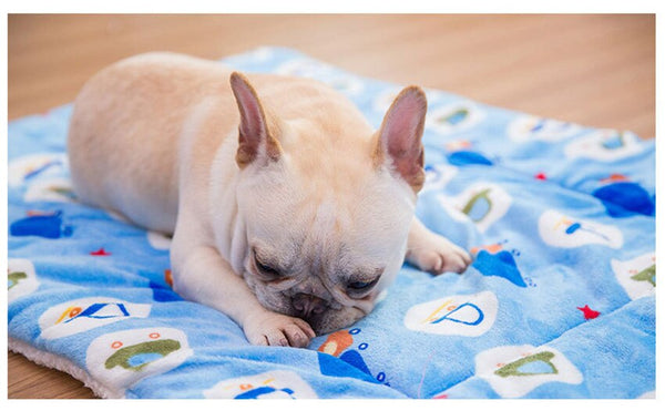 Portable Pet Dog Bed Blankets Washable Puppy Blanket Pad Winter Warm Mats Soft Sofa Cushion for Dogs Pet Sleeping Beds Supplies | Vimost Shop.
