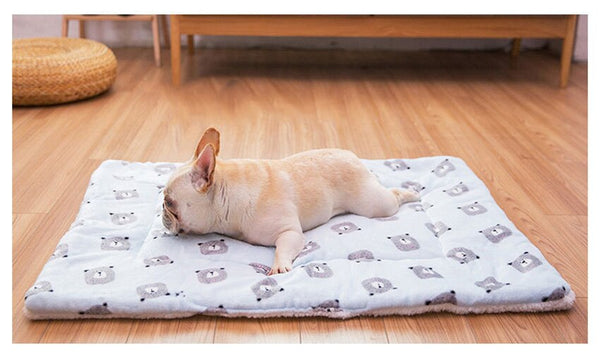 Portable Pet Dog Bed Blankets Washable Puppy Blanket Pad Winter Warm Mats Soft Sofa Cushion for Dogs Pet Sleeping Beds Supplies | Vimost Shop.