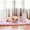 Portable Pet Dog Bed Blankets Washable Puppy Blanket Pad Winter Warm Mats Soft Sofa Cushion for Dogs Pet Sleeping Beds Supplies | Vimost Shop.