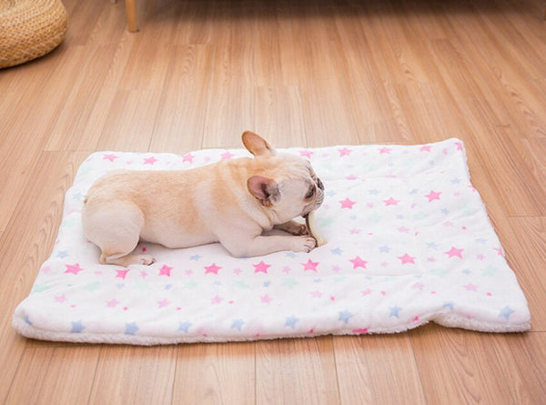 Portable Pet Dog Bed Blankets Washable Puppy Blanket Pad Winter Warm Mats Soft Sofa Cushion for Dogs Pet Sleeping Beds Supplies | Vimost Shop.