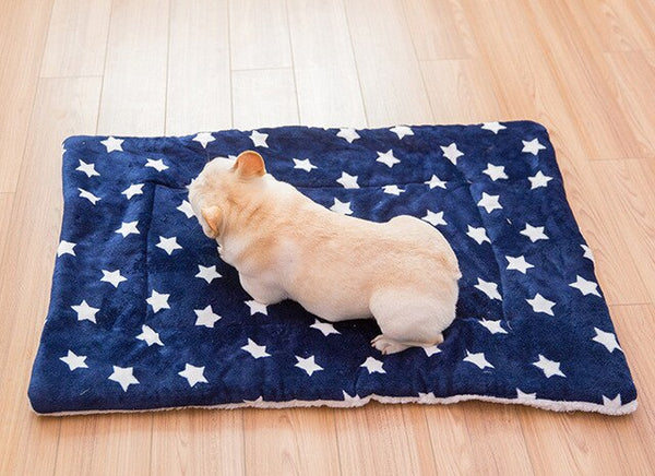 Portable Pet Dog Bed Blankets Washable Puppy Blanket Pad Winter Warm Mats Soft Sofa Cushion for Dogs Pet Sleeping Beds Supplies | Vimost Shop.