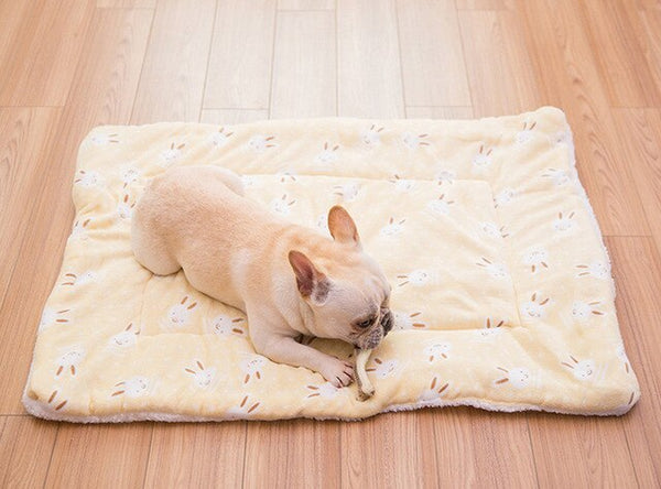 Portable Pet Dog Bed Blankets Washable Puppy Blanket Pad Winter Warm Mats Soft Sofa Cushion for Dogs Pet Sleeping Beds Supplies | Vimost Shop.