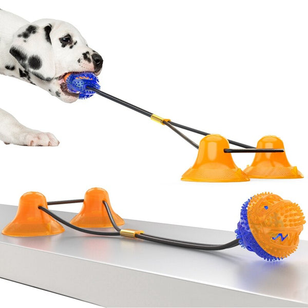 Interactive Pet Toys For Cats Dogs Training Suction Cup Push Ball Toys Elastic Ropes Pet Tooth Cleaning Chewing IQ Exercise New | Vimost Shop.